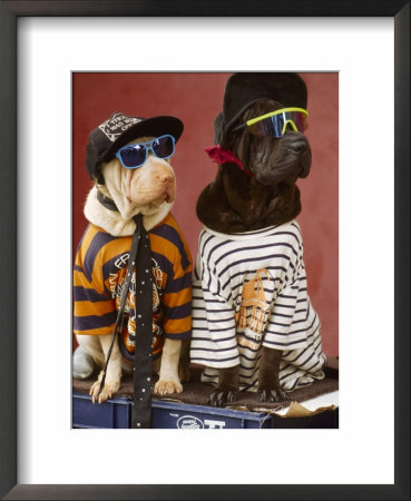 Pair Of Dogs Dressed In Clothes, Hats And Glasses by Bill Melton Pricing Limited Edition Print image