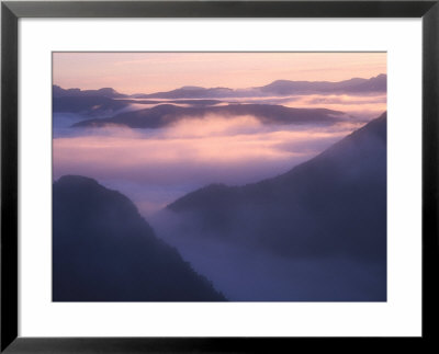 Valley Mist At Dawn, South West National Park, Tasmania, Australia by Grant Dixon Pricing Limited Edition Print image