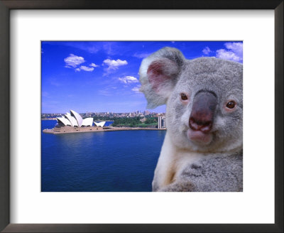 Portrayal Of Opera House And Koala, Sydney, Australia by Bill Bachmann Pricing Limited Edition Print image