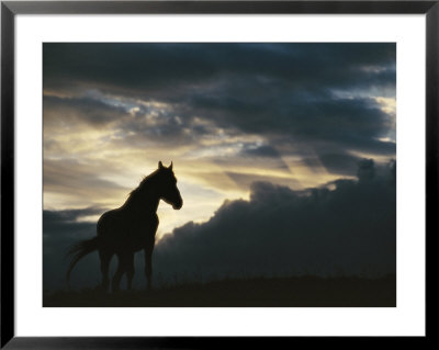 A Wild Horse Is Silhouetted By The Setting Sun Under Gathering Storm Clouds by Raymond Gehman Pricing Limited Edition Print image