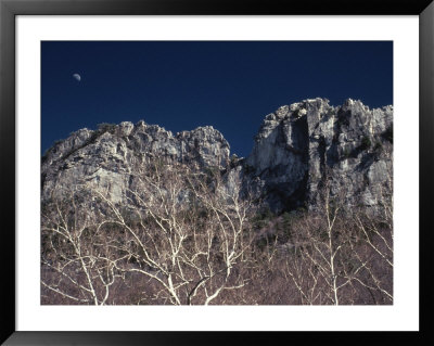 Seneca Rocks State Park, Wv by Jeff Greenberg Pricing Limited Edition Print image