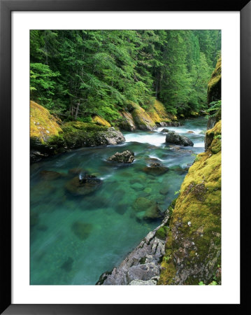 Ohanapecosh River, Mt. Rainier National Park, Wa by Mark Windom Pricing Limited Edition Print image