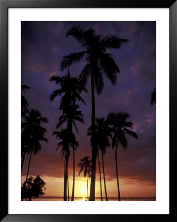Palm Trees At Sunset, Puerto Rico by Greg Johnston Pricing Limited Edition Print image
