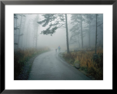 A Woman Leads Her Toddler Down A Paved Trail In The Fog by Randy Olson Pricing Limited Edition Print image