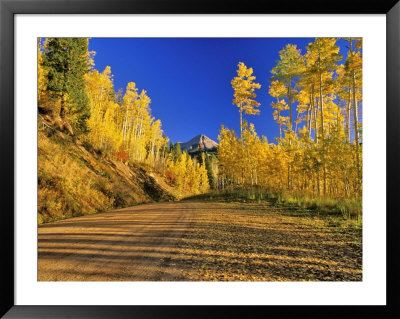 Gravel Road With Autumn Color, San Juan National Forest, Colorado, Usa by Chuck Haney Pricing Limited Edition Print image