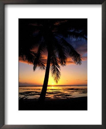 Sunset On West Coast With Silhouetted Palm Tree, Cook Islands by Manfred Gottschalk Pricing Limited Edition Print image