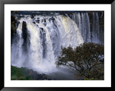 Tississat Falls, Bahar Dar, Amhara, Ethiopia by Jane Sweeney Pricing Limited Edition Print image