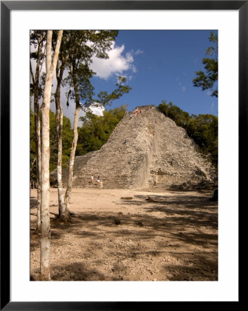 Nohoch Mul, Coba, Mexico by Lisa S. Engelbrecht Pricing Limited Edition Print image