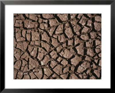 A Close View Of Dried Mud In The Chalbi Desert by Bobby Model Pricing Limited Edition Print image