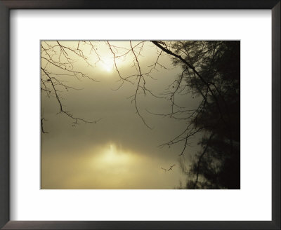 The Morning Sun Is Reflected On Otter Lake by Raymond Gehman Pricing Limited Edition Print image