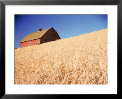 Barn In Wheat Field by Dean Berry Pricing Limited Edition Print image