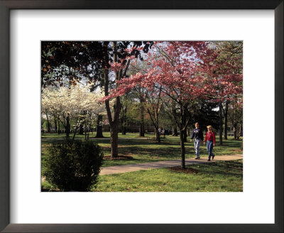Students Walking Across College Campus by Stewart Cohen Pricing Limited Edition Print image