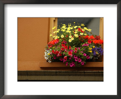 Ireland, Window Box Of Flowers by Keith Levit Pricing Limited Edition Print image
