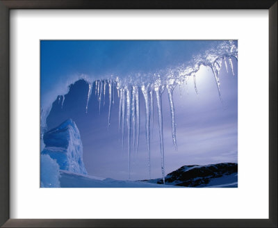 Icicles Hanging From Iceberg Near Browning Peninsula, Wilkes Land, Antarctica by Grant Dixon Pricing Limited Edition Print image