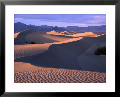 Sand Ripples At Mesquite Sand Dunes, Death Valley National Park, Usa by Carol Polich Pricing Limited Edition Print image