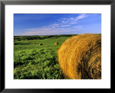 Hay Bales Near Bottineau, North Dakota, Usa by Chuck Haney Pricing Limited Edition Print image