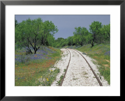 Bluebonnets And Abandoned Rails, Near Marble Falls, Texas, Usa by Darrell Gulin Pricing Limited Edition Print image
