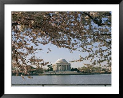 Cherry Blossoms In Full Bloom Frame The Jefferson Memorial Across The Tidal Basin by Stephen St. John Pricing Limited Edition Print image