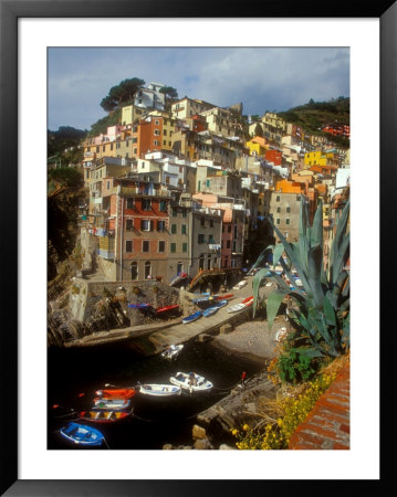 Town View, Rio Maggiore, Cinque Terre, Italy by Alison Jones Pricing Limited Edition Print image