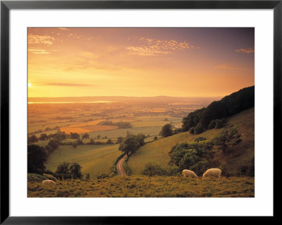 Coaley Peak, Dursley, Cotswolds, England by Peter Adams Pricing Limited Edition Print image