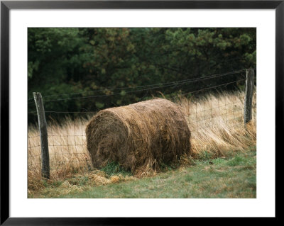 Barbed Wire Fence And Hay Roll In Farmers Field, Tye River Gap by Raymond Gehman Pricing Limited Edition Print image