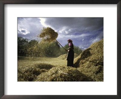 Woman With Straw, Tibet by Michael Brown Pricing Limited Edition Print image