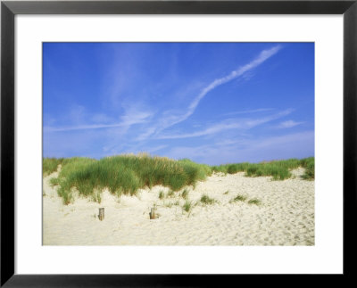 Beach And Dunes With Marram Grass, Dorset, Uk by Ian West Pricing Limited Edition Print image
