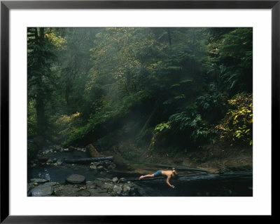 Cebarn Carroll Plays In A Stream In Willamette National Forest by Joel Sartore Pricing Limited Edition Print image