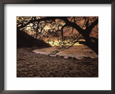 Secret Beach, Puerta Vallarta, Mexico by Walter Bibikow Pricing Limited Edition Print image