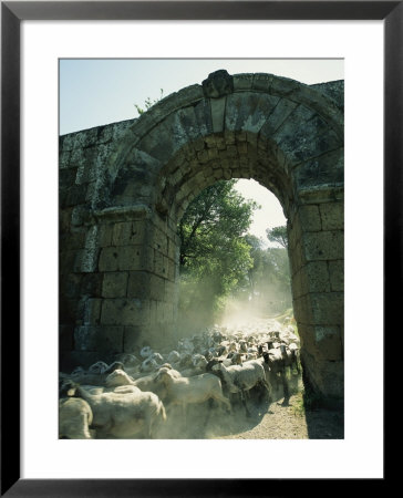 Herd Of Sheep Moving Through The West Gate Of Falerii Novi by O. Louis Mazzatenta Pricing Limited Edition Print image