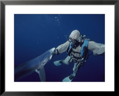 A Blue Shark Bites The Hand Of A Diver Wearing A Chain Mail Suit by Brian J. Skerry Pricing Limited Edition Print image