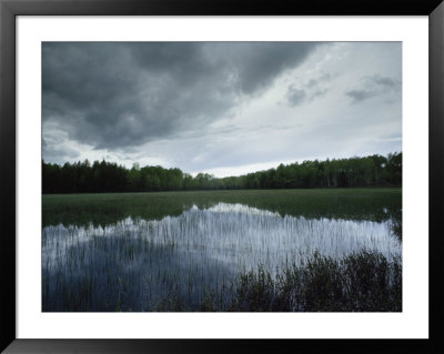 Shallow Pond And Storm Clouds, Nicolet National Forest, Wisconsin by James P. Blair Pricing Limited Edition Print image