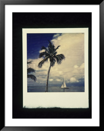 Palm Tree And Sailboat by Terri Froelich Pricing Limited Edition Print image