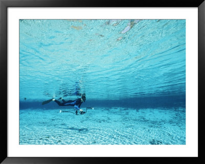 A Diver Swims Through Clear Blue Water by Raul Touzon Pricing Limited Edition Print image