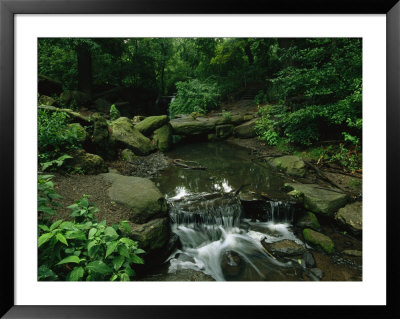Water Splashes Over A Waterfall In A Central Park Wood by Melissa Farlow Pricing Limited Edition Print image
