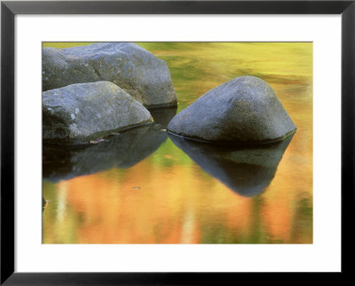 Rock And Autumn Reflections, White Mountains, New Hamshire by Mark Hamblin Pricing Limited Edition Print image