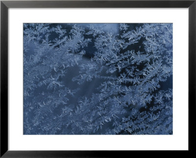 A Close View Of Autumn Frost On A Car Window by George F. Mobley Pricing Limited Edition Print image