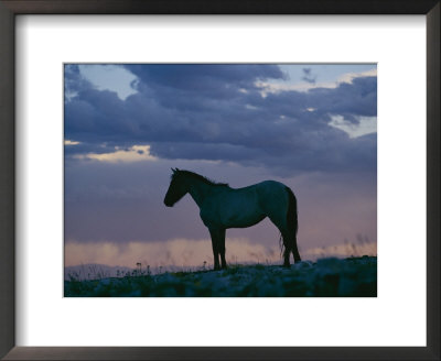 A Wild Horse Is Silhouetted By The Setting Sun by Raymond Gehman Pricing Limited Edition Print image