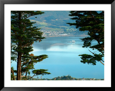 View From Larnach Castle, Oamaru, New Zealand by William Sutton Pricing Limited Edition Print image