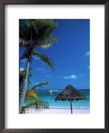 Picturesque Tropical Beach by Jeff Greenberg Pricing Limited Edition Print image