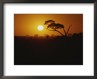 The Sun Sets Over Amboseli National Reserve by Bobby Model Pricing Limited Edition Print image