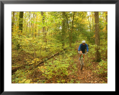 Mountain Biker Rides Through A Forest In The Fall by Skip Brown Pricing Limited Edition Print image