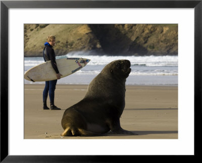 Surfer Standing Near Sea Lion On Beach, The Catlins, Porpoise Bay, New Zealand by Christian Aslund Pricing Limited Edition Print image