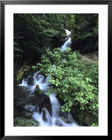 Patagonian Waterfall, Cascada La Macarena, Tierra Del Fuego National Park, Near Ushuaia, Argentina by Holger Leue Pricing Limited Edition Print image