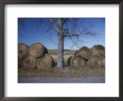 Bales Of Hay Lie Next To A Denuded Tree In An Autumn Landscape by Roy Gumpel Pricing Limited Edition Print image