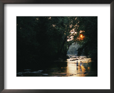 A Couple Fish On A River In The Low Sunlight by Skip Brown Pricing Limited Edition Print image
