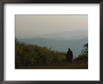 A Buddhist Monk Walks Past A Field Of Sunflowers by Jodi Cobb Pricing Limited Edition Print image