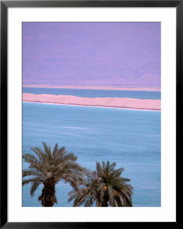 Palms Over Dead Sea, Dead Sea, Israel by Nik Wheeler Pricing Limited Edition Print image