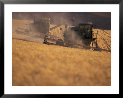 Wheat Combines At Fall Harvest, Washington, Usa by William Sutton Pricing Limited Edition Print image