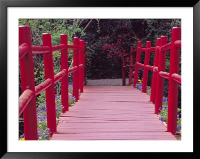 Red Bridge, Magnolia Plantation And Gardens, Charleston, South Carolina, Usa by Julie Eggers Pricing Limited Edition Print image